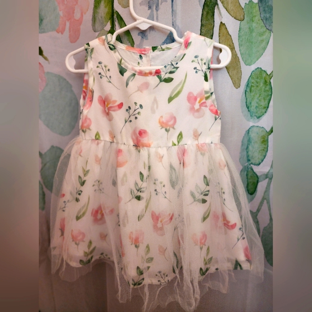 Shein Pink Green Floral Baby Girl Dress Sheer Skirt sz 2T